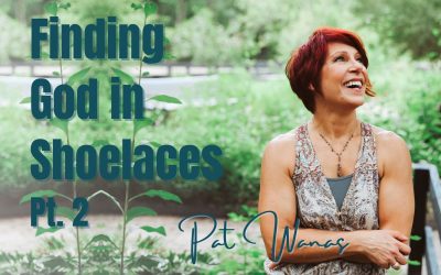 100: Pt. 2 Finding God in Shoelaces – Pat Wanas on Spirit-Centered Business™