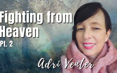 196: Pt. 2 Fighting from Heaven | Adri Venter